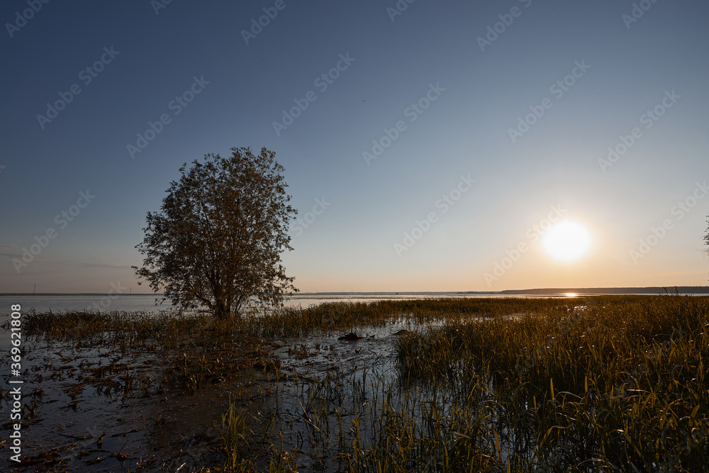 sunset on the river