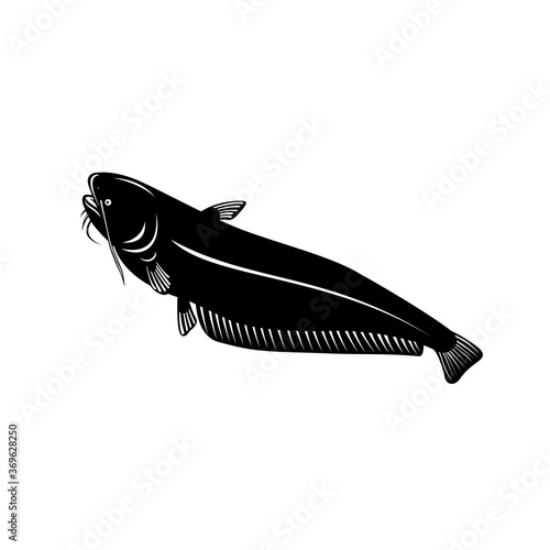 Wels Catfish or Sheatfish a Species of Large Catfish Going Up Retro Woodcut Black and White Style