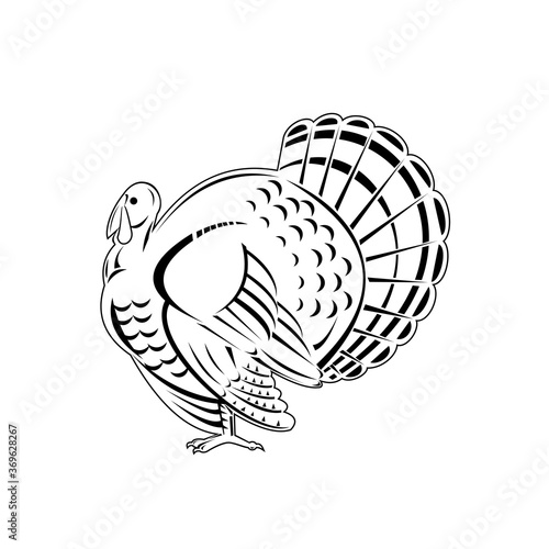 Wild Turkey a Large Bird in the Genus Meleagris Iewed from Side Retro Woodcut Black and White