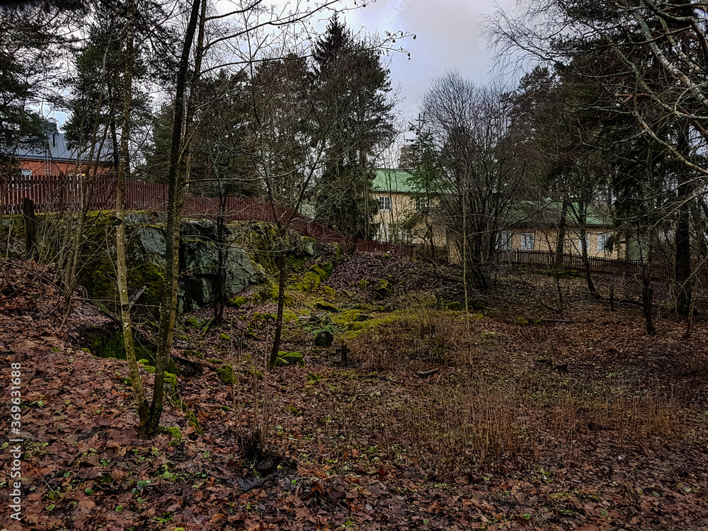 Obraz premium Brown fallen leaves, trees and houses on a cloudy December day.