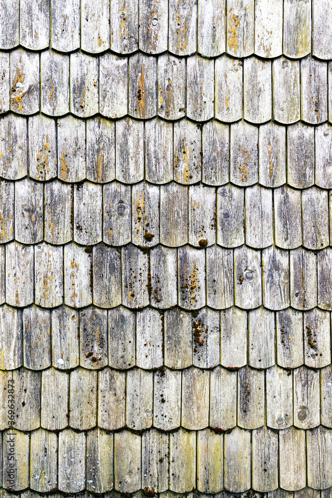 old coniferous wood roof old coniferous wood roof