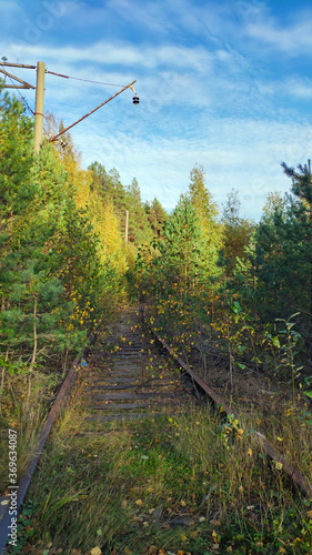 
old railway in the forest