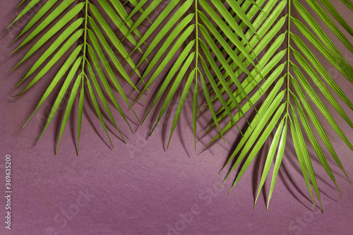 Tropical palm leaves on pink background. Minimal summer concept. Creative flat lay with copy space.