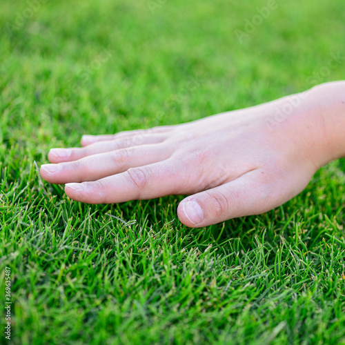 Beautiful green grass. The hand of the child touches the grass. Back to nature, love earth. Environment concept. © zhinna