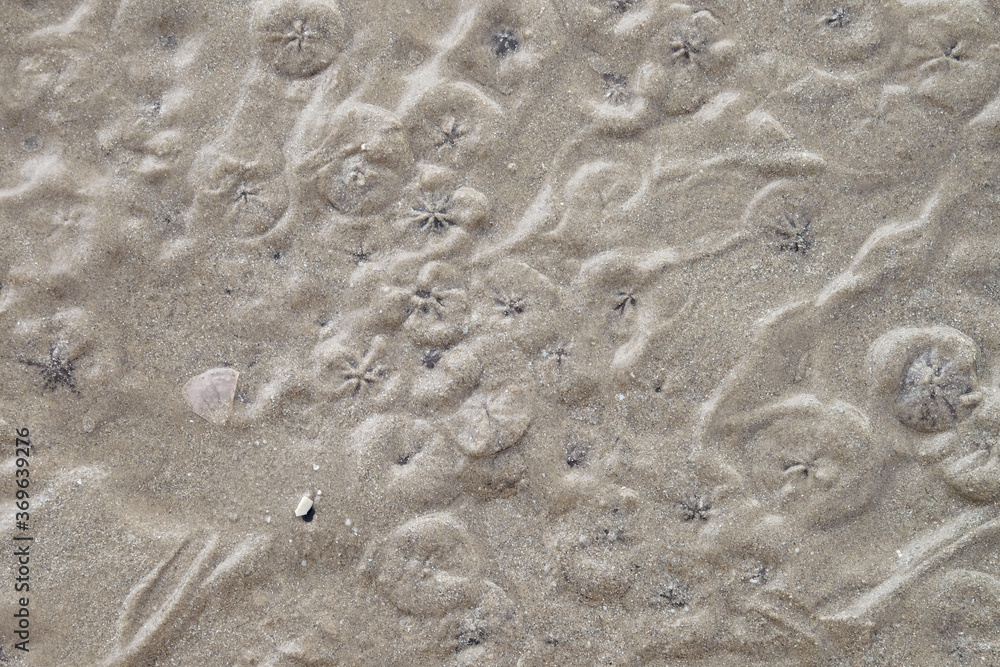 Natural textured surface of wet sand at a beach Natural textured surface of wet sand at a beach