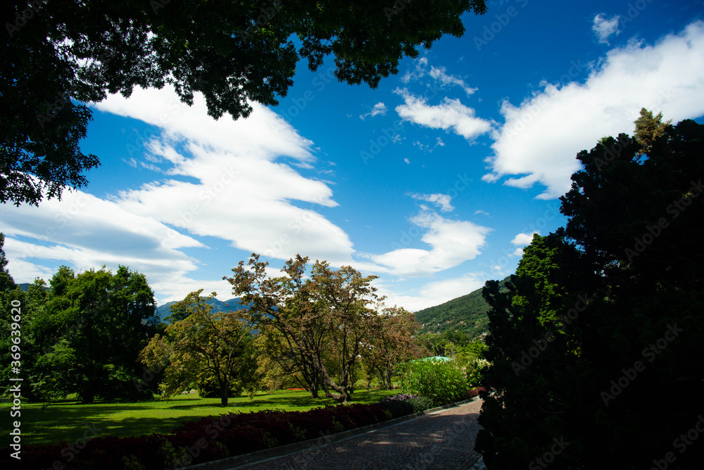 beautiful panorama of a well-kept lawn with several plants