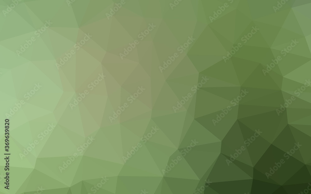 Light Green vector polygonal pattern. Glitter abstract illustration with an elegant design. Elegant pattern for a brand book. Light Green vector polygonal pattern. Glitter abstract illustration with an elegant design. Elegant pattern for a brand book.