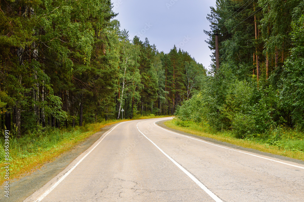 Empty twisting road. Dangerous turn of the road in the forest.Beautiful forest landscape.