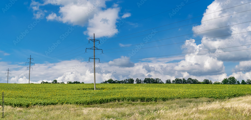 Beautiful summer landscape with fields of sunflowers and electricity