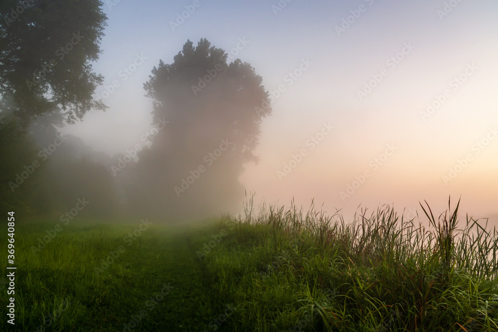 Piękny poranek z mgłami w Dolinie Narwi. Rzeka Narew, Podlasie, Polska 