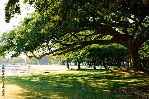 ハワイ・ホノルルのアラモアナ・ビーチ・パーク photo