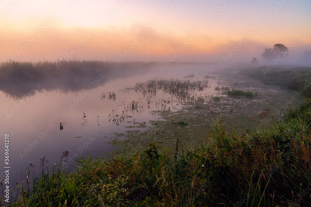 Piękny poranek z mgłami w Dolinie Narwi. Rzeka Narew, Podlasie, Polska 