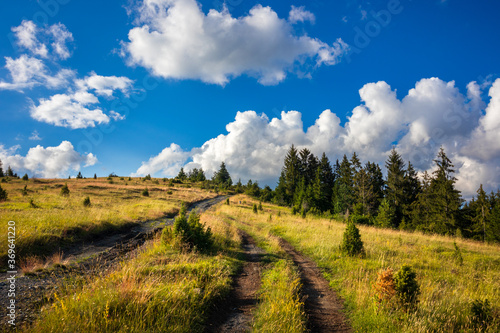 Beautiful hills  forest and meadows on Golija mountain in Serbia