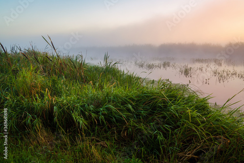 Pi  kny poranek z mg  ami w Dolinie Narwi. Rzeka Narew  Podlasie  Polska 