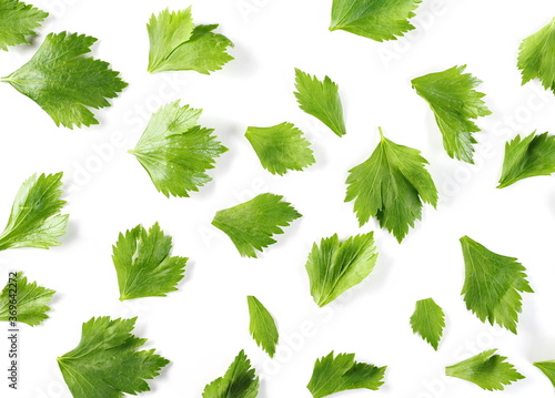 Fresh green celery leaves pile isolated on white background  top view
