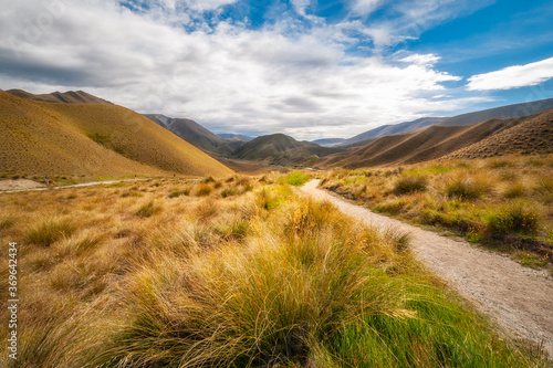 Golden Grasses at Lindis Pass in Otago Region, New Zealand, South Island. View from the hiking path from Summit Lookout on a beautiful summer day.