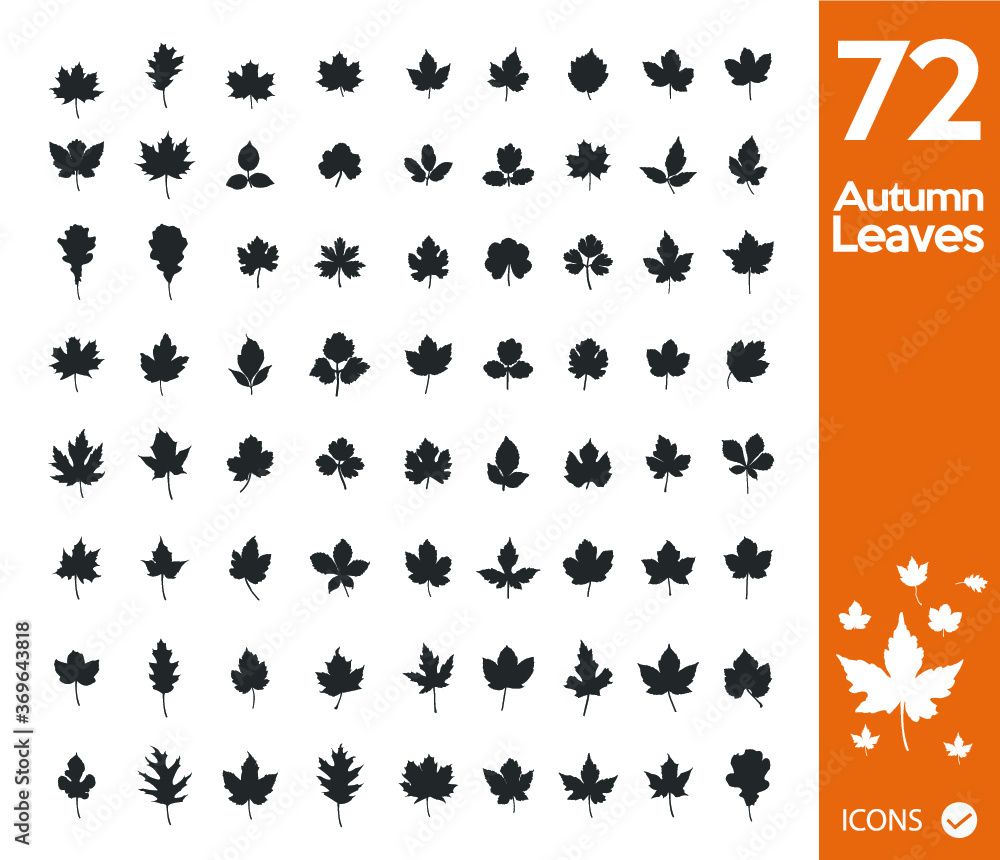 Naklejka premium Set of 72 black leaves