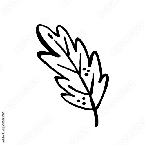 Herbs. Ink plant. Black color. Vector illustration isolated on white background. Little leaf. 