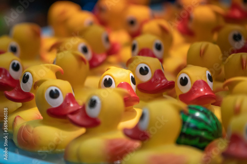 group of yellow rubber ducklings