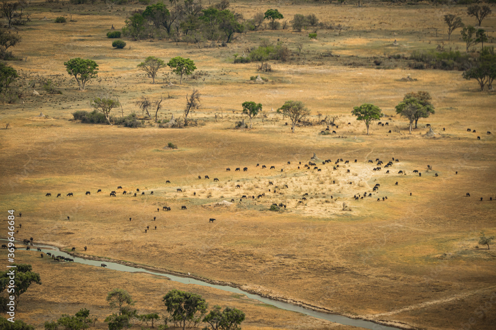 Aerial view of Okavango Delta, Botswana Aerial view of Okavango Delta, Botswana