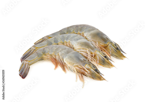 shrimp prawn isolated on white background