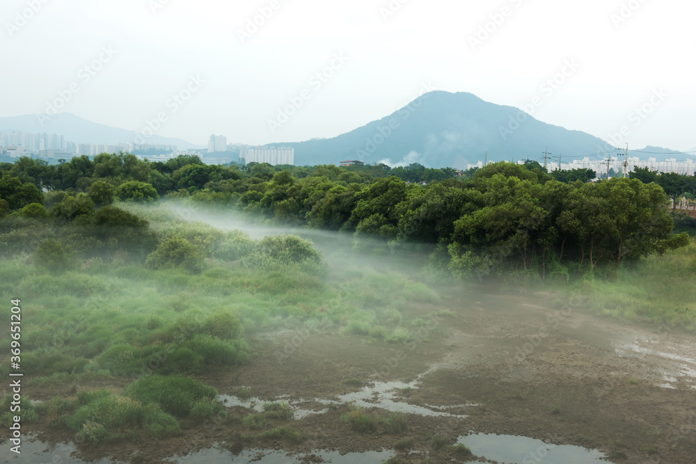 Fantastic landscape of foggy and mist riveside Fantastic landscape of foggy and mist riveside