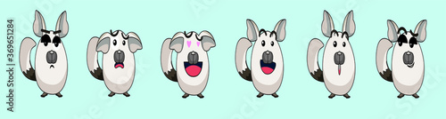 set of white chinchilla with various models. isolated on blue