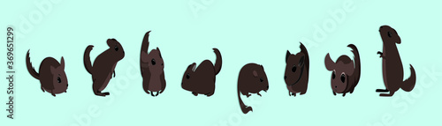 set of chinchilla with various models. isolated on blue