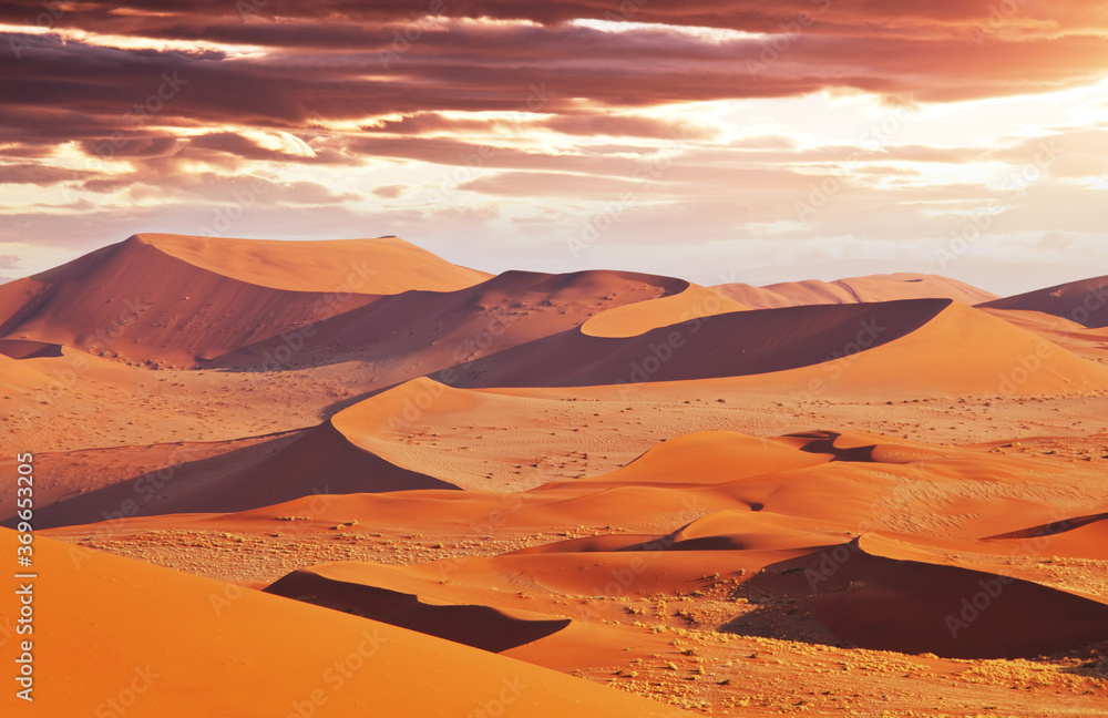 Naklejka premium Namib desert