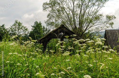 Fototapeta Naklejka Na Ścianę i Meble -  dom Bieszczady 