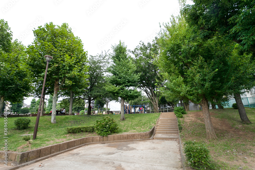 若草台第一公園(横浜市青葉区) 若草台第一公園(横浜市青葉区)