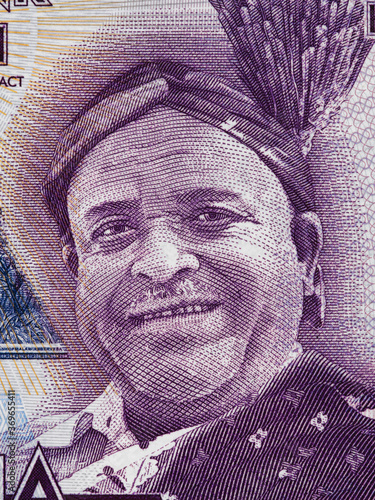 Inkosi Ya Makhosi M'Mbelwa II portrait on Malawi 20 kwacha banknote close up macro, Malawian money closeup photo