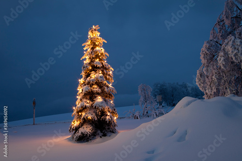 Weihnachtsbaum im Schnee / Winter photo