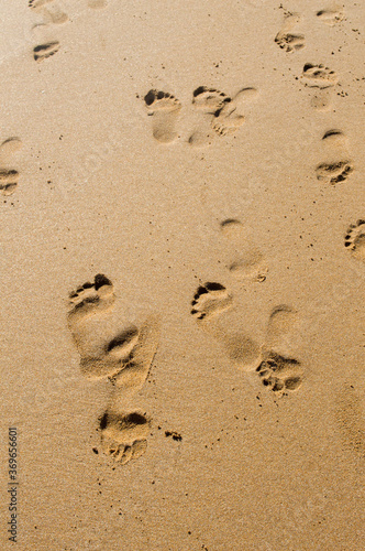detalle de huellas en la arena de la playa