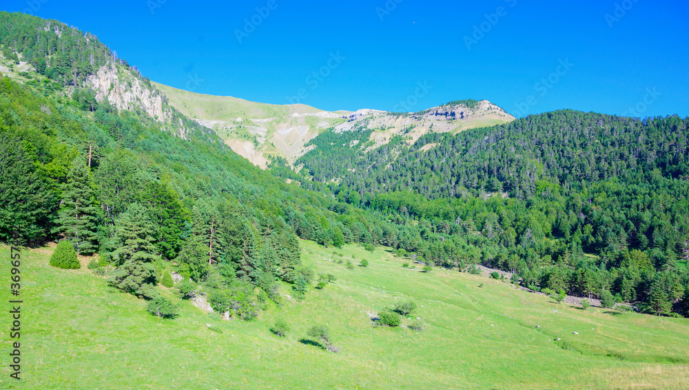 Beautiful view of the forests of Avi, Aisa, Huesca Spain. Summer sports activity. Panoramic scene of nature in the Pyrenees