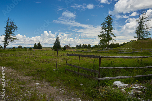 beautiful day in countryside, nature concept photo