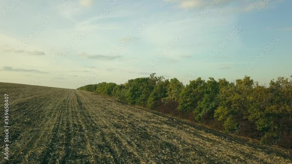 aerial view of flying over farm fields and trees. beautiful landscape from a height. aerial view of flying over farm fields and trees. beautiful landscape from a height.