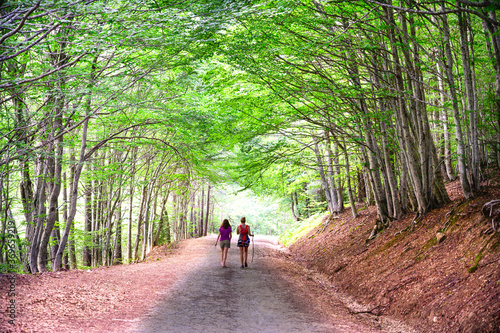 Women walking through the forests of Avi, Aisa, Huesca Spain. Excursion on foot through the mountains. Summer sports activity. Panoramic scene of nature in the Pyrenees.