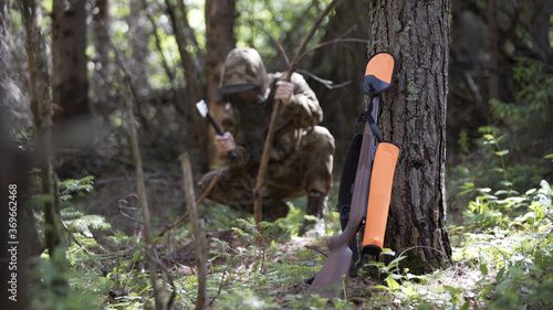 Dolly shot of hunter in camouflage cuts branch with axe in forest. Hunting rifle leaning against pine tree trunk. Hunter outdoor in forest hunting alone. Outdoor activity concept.