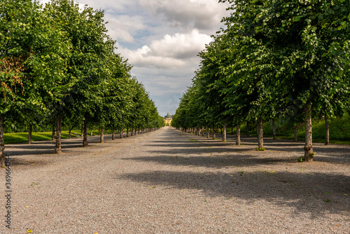 Fototapeta Naklejka Na Ścianę i Meble -  Beautiful summer perspective view of many trees in a long avenue with a wide footpath at Drottningholm in Sweden.