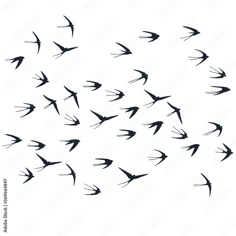 Naklejka premium Flying swallow birds silhouettes vector illustration. Nomadic martlets school isolated on white.