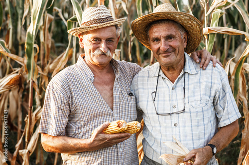 Portrait of two senior farmers. They standing in front of the corn field.	
