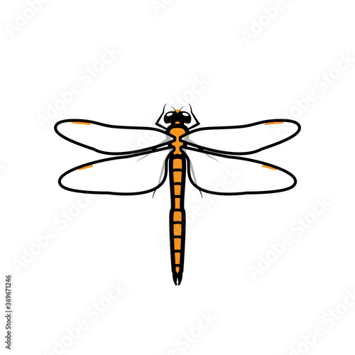 Dragonfly logo symbol icon sign, orange color. An illustration of a dragonfly, isolated, orange colored, with simple transparent wings, outlined.