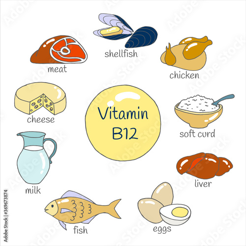 Vector set of hand drawn foods highest in Vitamin B12