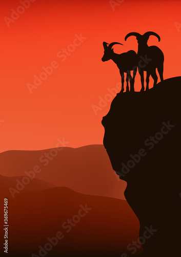 pair of mountaing goats standing on high cliff at sunset - vector silhouette view of dramatic wilderness scene with dagestan turs