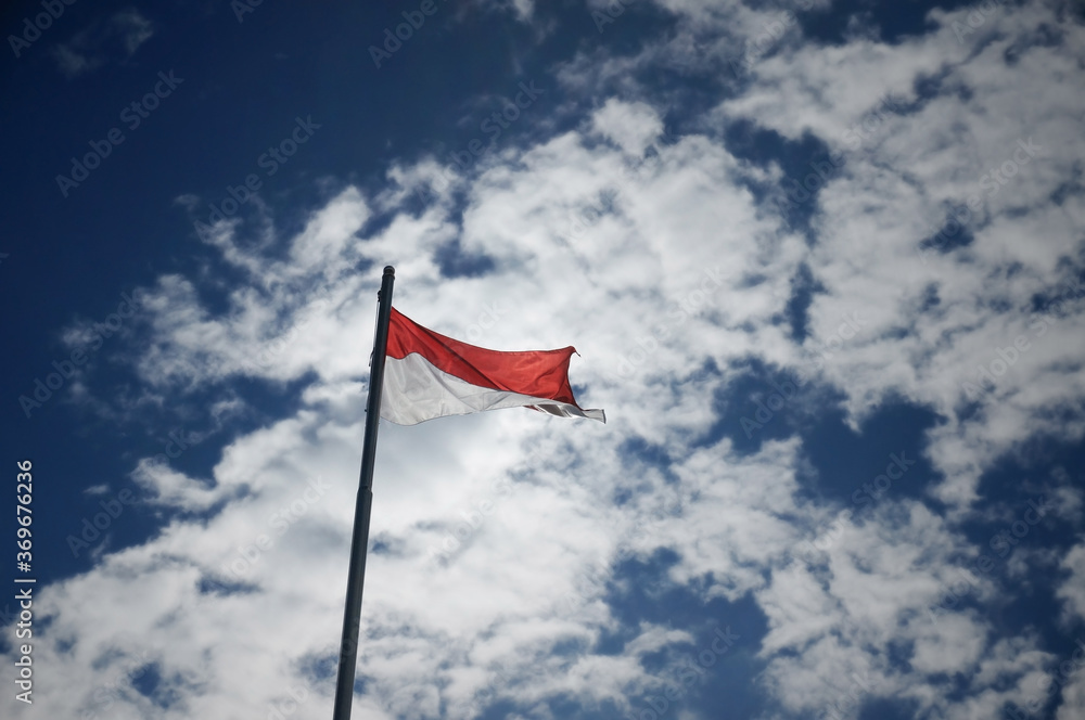 Fototapeta premium Indonesian flag isolated on blue background.