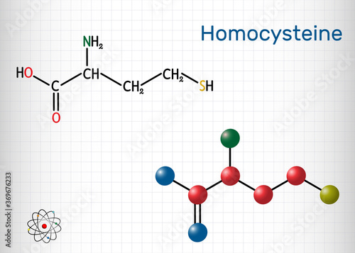 Homocysteine biomarker molecule. It is a sulfur-containing non-proteinogenic amino acid. Structural chemical formula and molecule model. Sheet of paper in a cage
