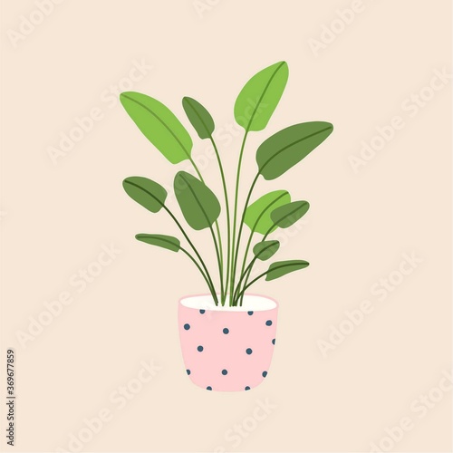 Bird of paradise plant in flowerpot. Houseplant isolated. Trendy hugge style, urban jungle decor. Hand drawn sketch, naive art. Print, poster, banner. Logo, label. Green, blue, pink, black colors.