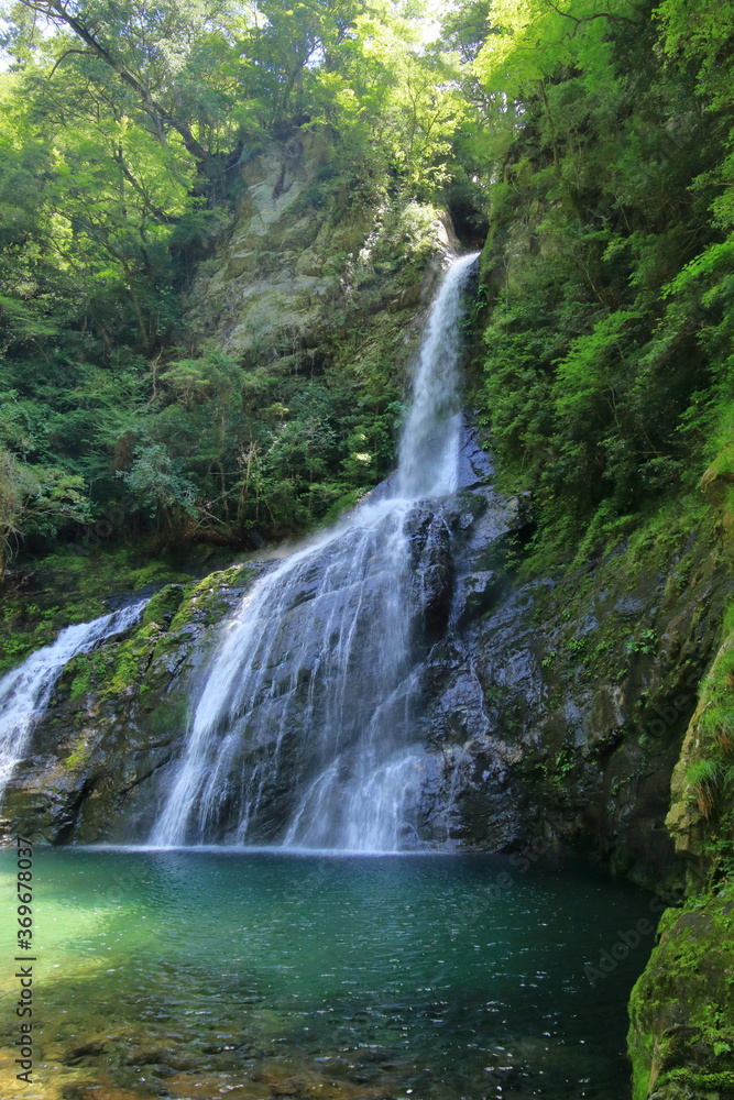 Fototapeta premium 高知県の滝 飛龍の滝 夏(高知県 安居渓谷)