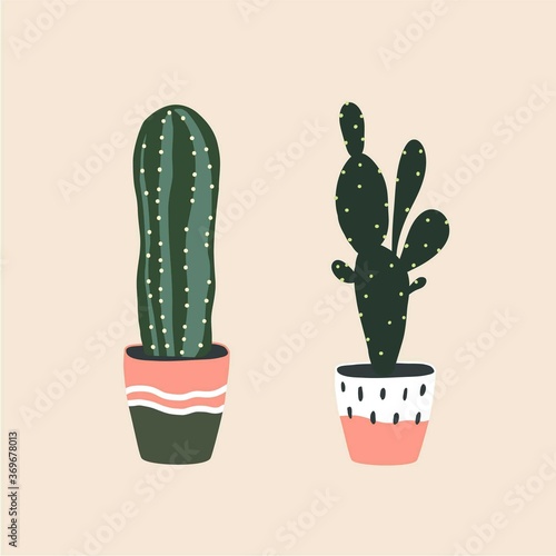 Cactus in ceramic flowerpot. Houseplant isolated. Set collection. Trendy hugge style, urban jungle decor. Hand drawn sketch naive art. Print, poster, banner, wallpaper. Green, pink, beige, black color